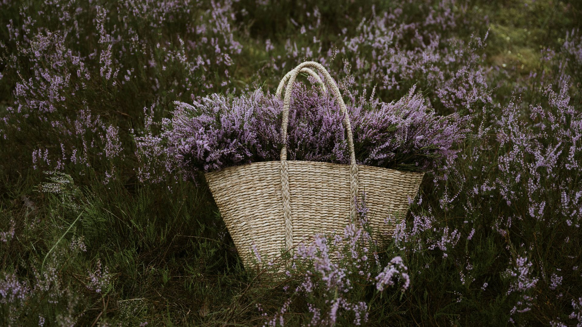 a wicker basket with purple flowers in a field