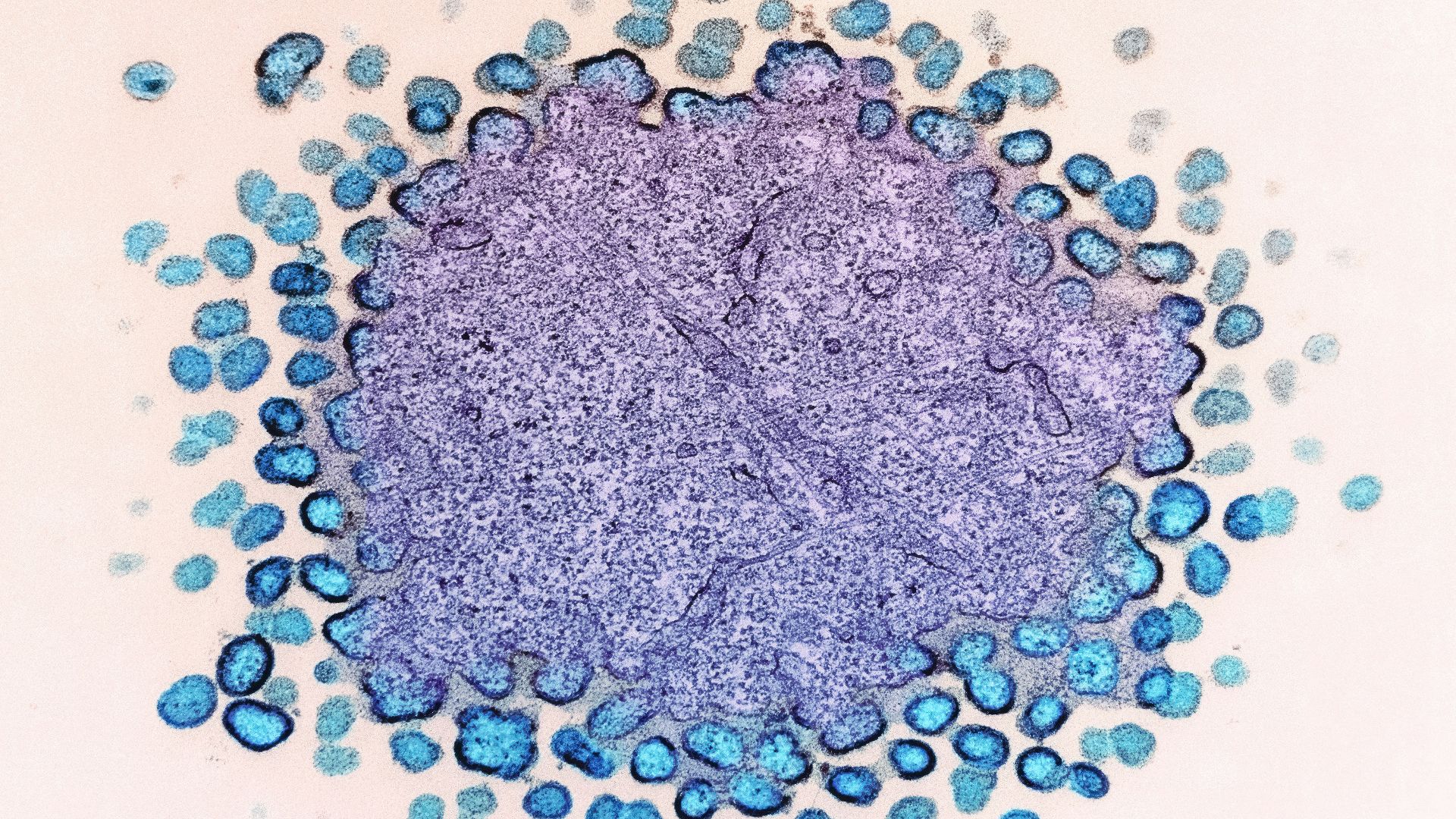 a purple and blue substance is surrounded by blue dots