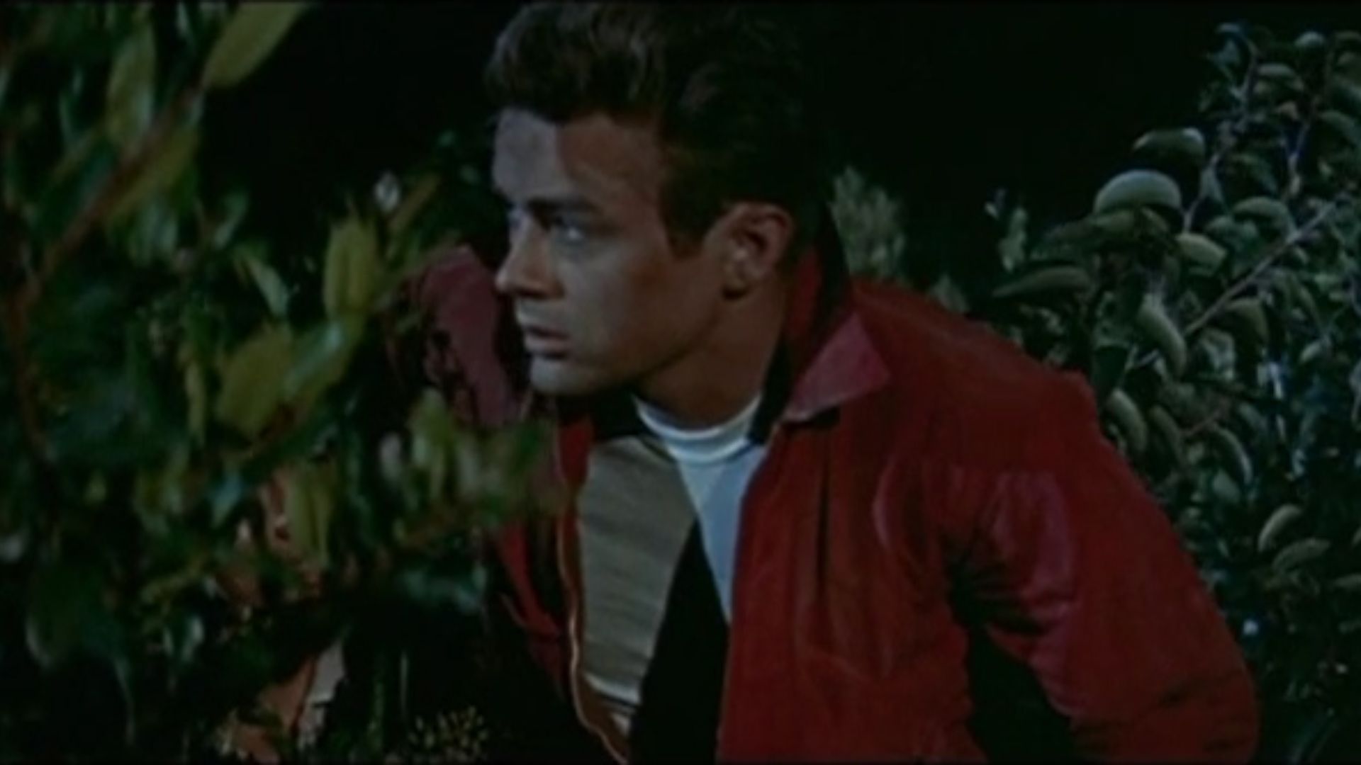 File:James Dean in Rebel Without a Cause trailer.jpg