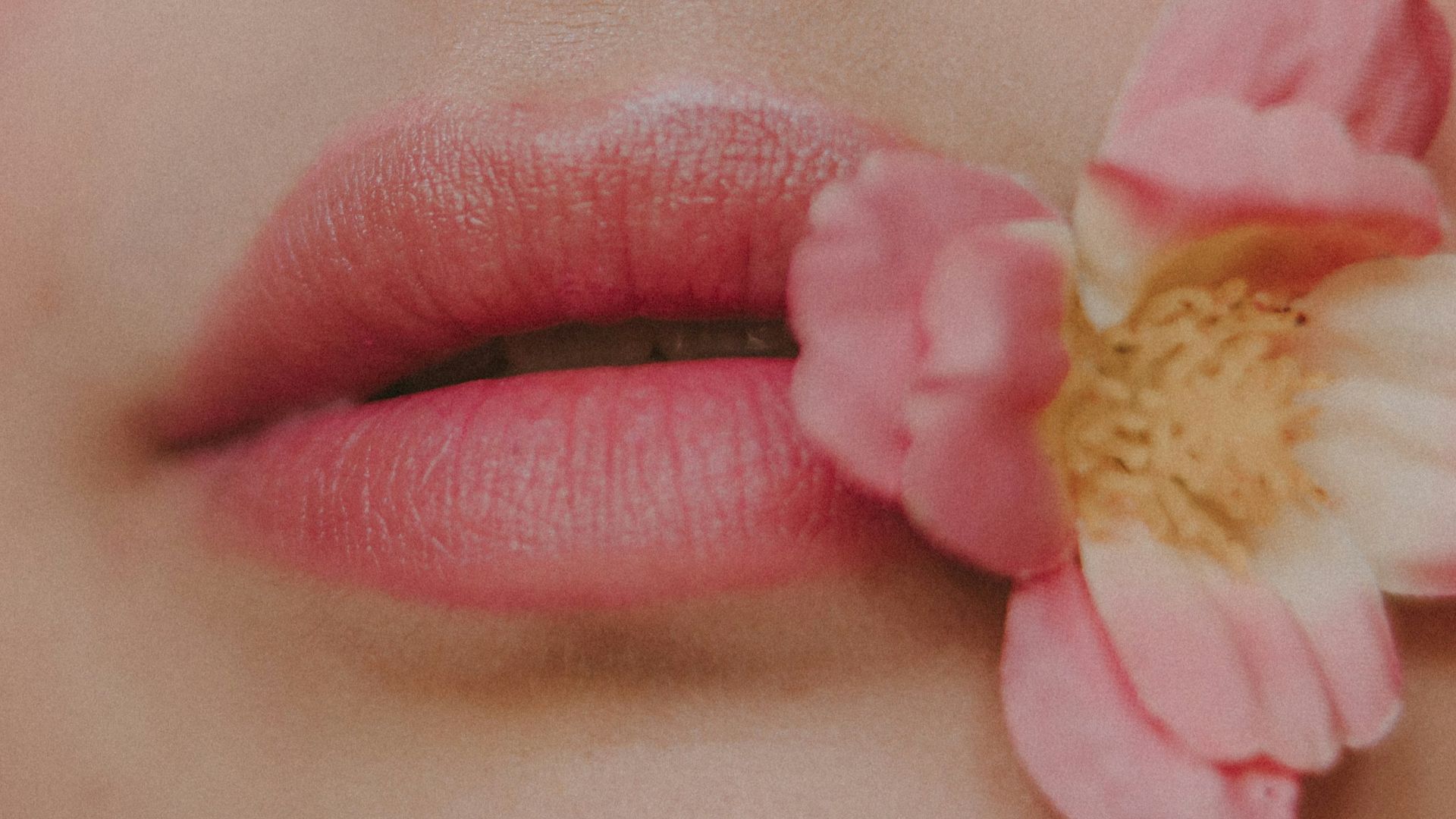 a close up of a woman's lips with a flower in her mouth