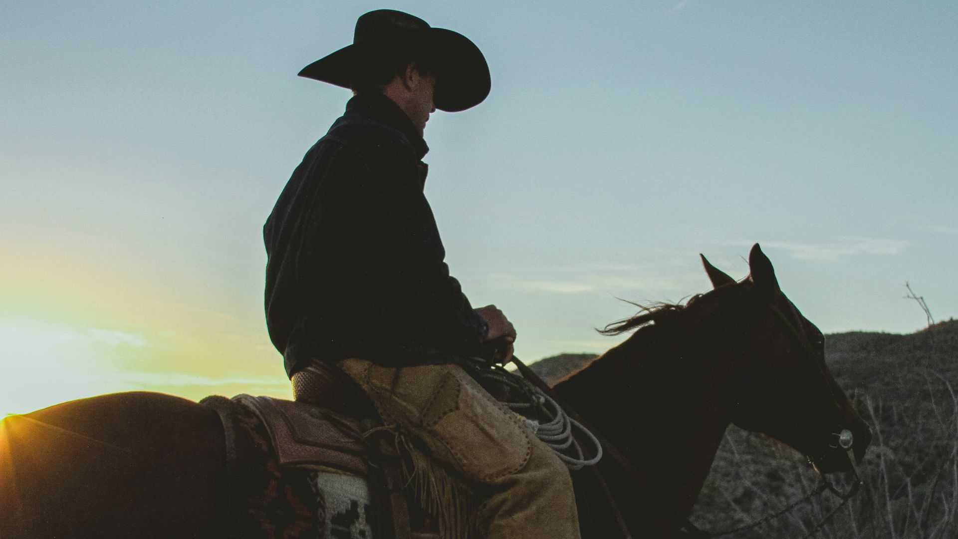 a man riding on the back of a brown horse