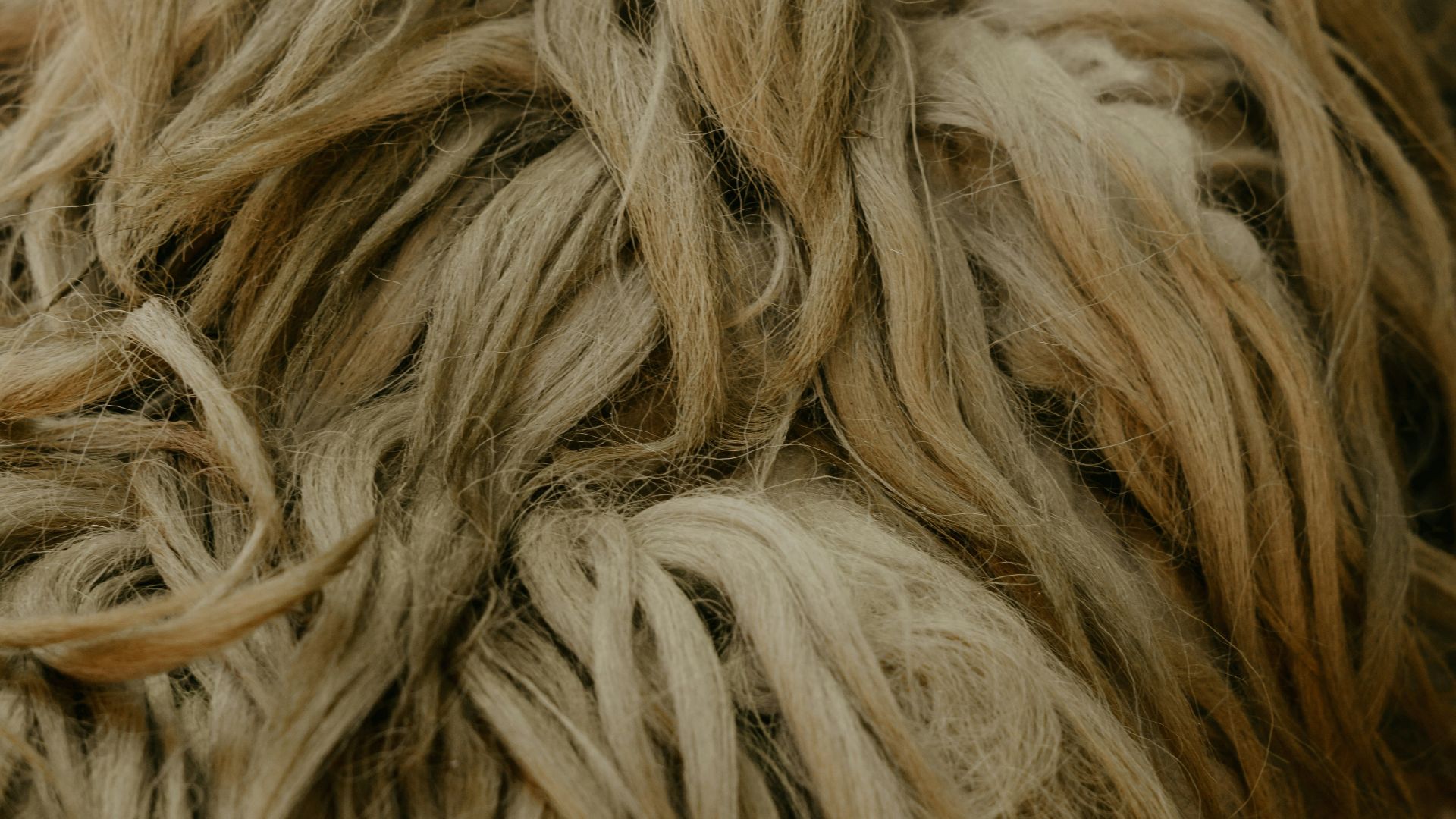 brown and black fur textile