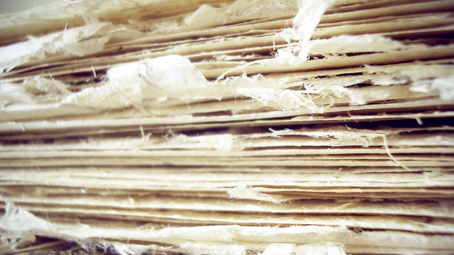 File:Banana tree paper.png