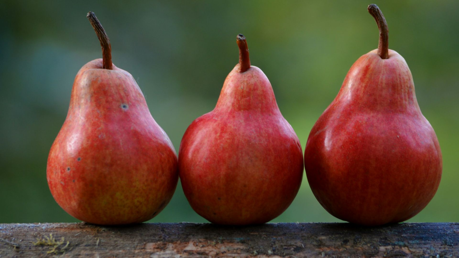 three red pear fruits