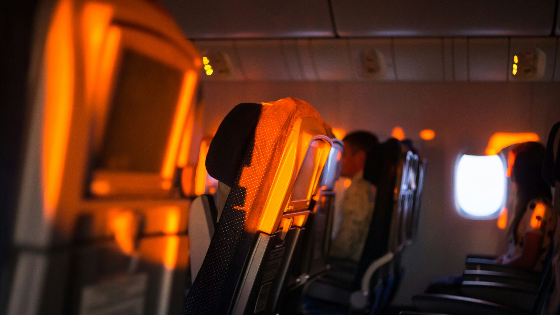 black and yellow bus seats