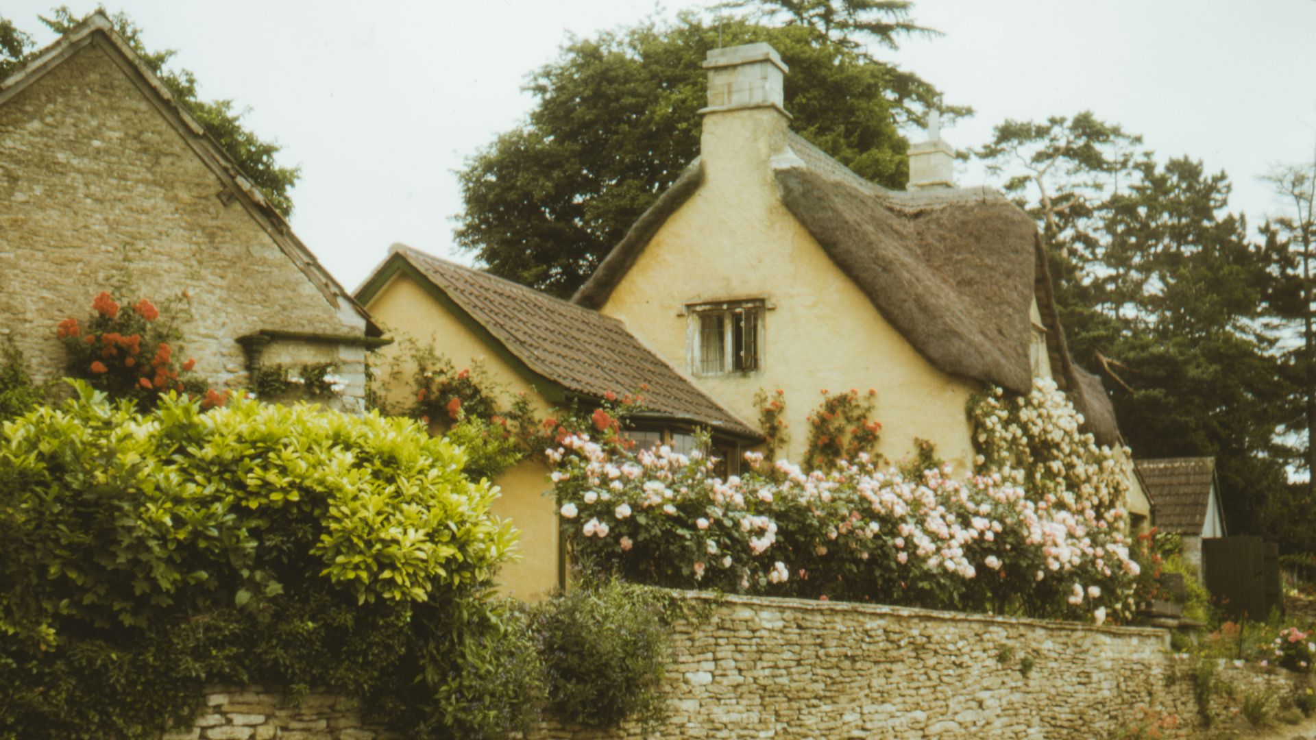brown and white concrete house surrounded by green plants and trees during daytime