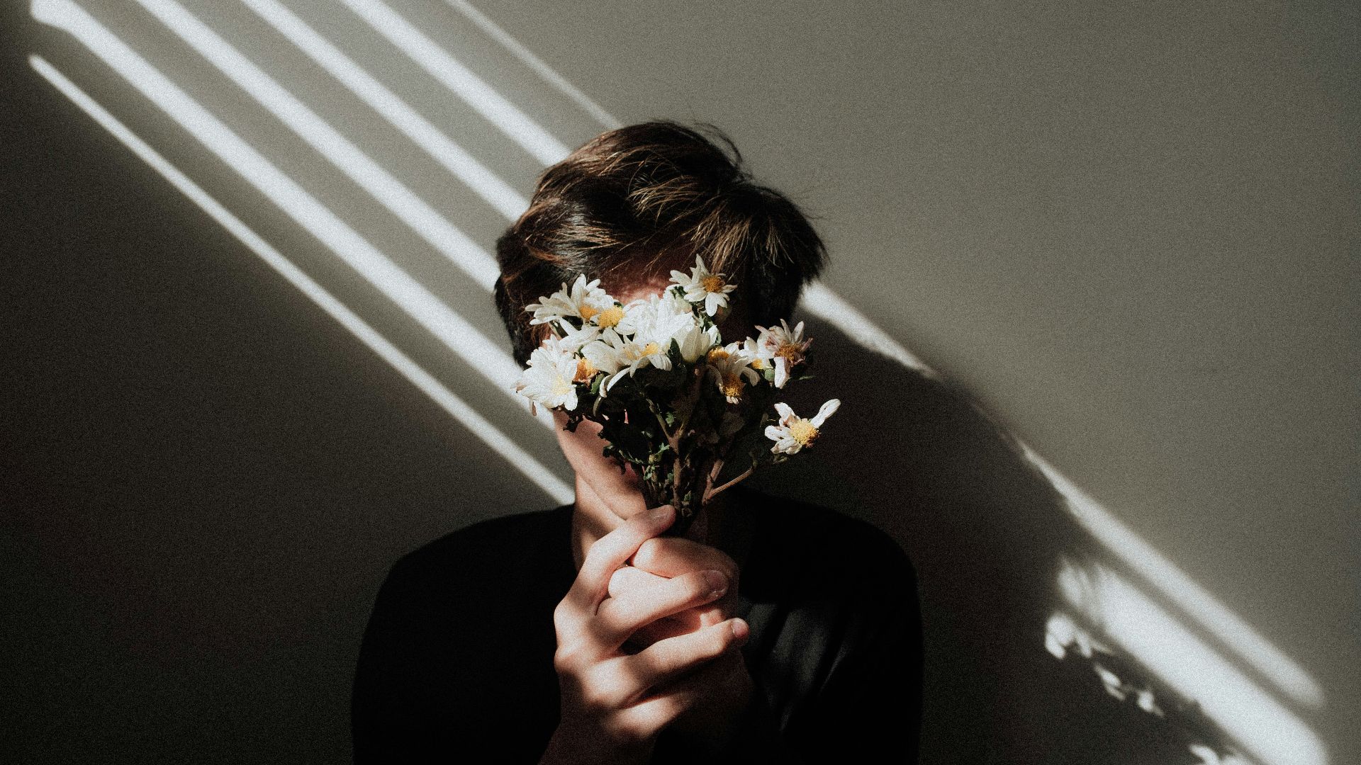 person holding white daisy flowers