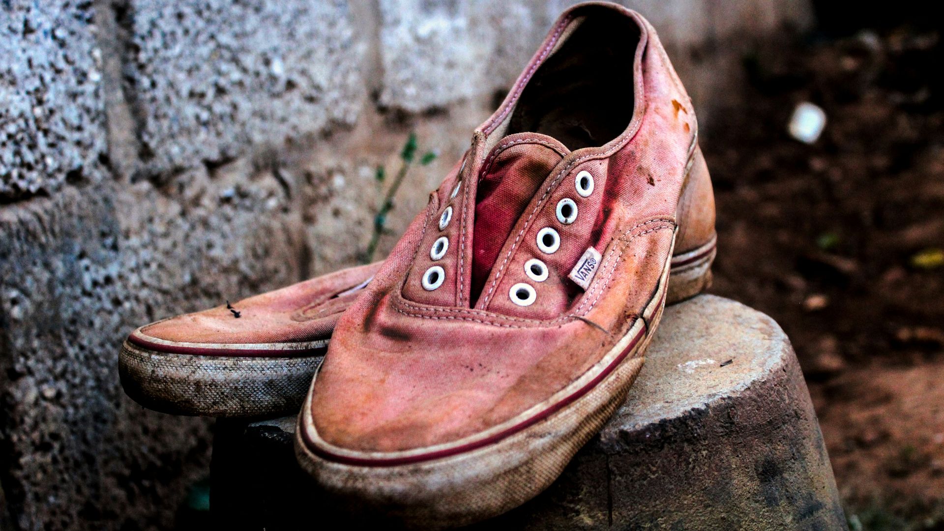 selective focus photo of pair of pink Vans low-top sneakers on top of gray concrete block