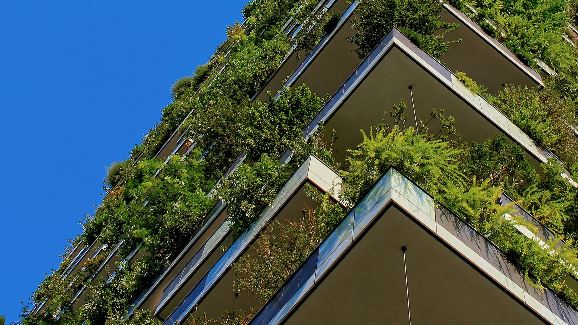 low angle photography of building