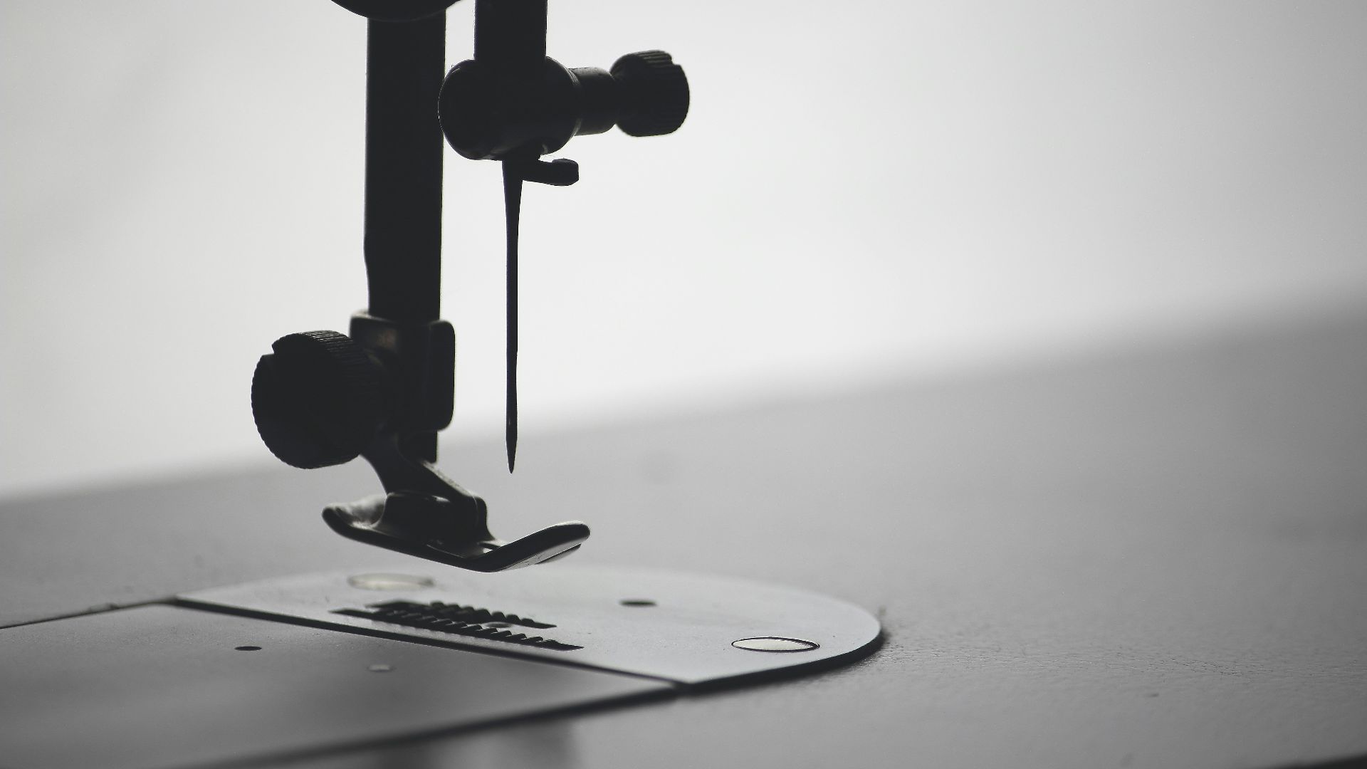 macro photography of sewing needle