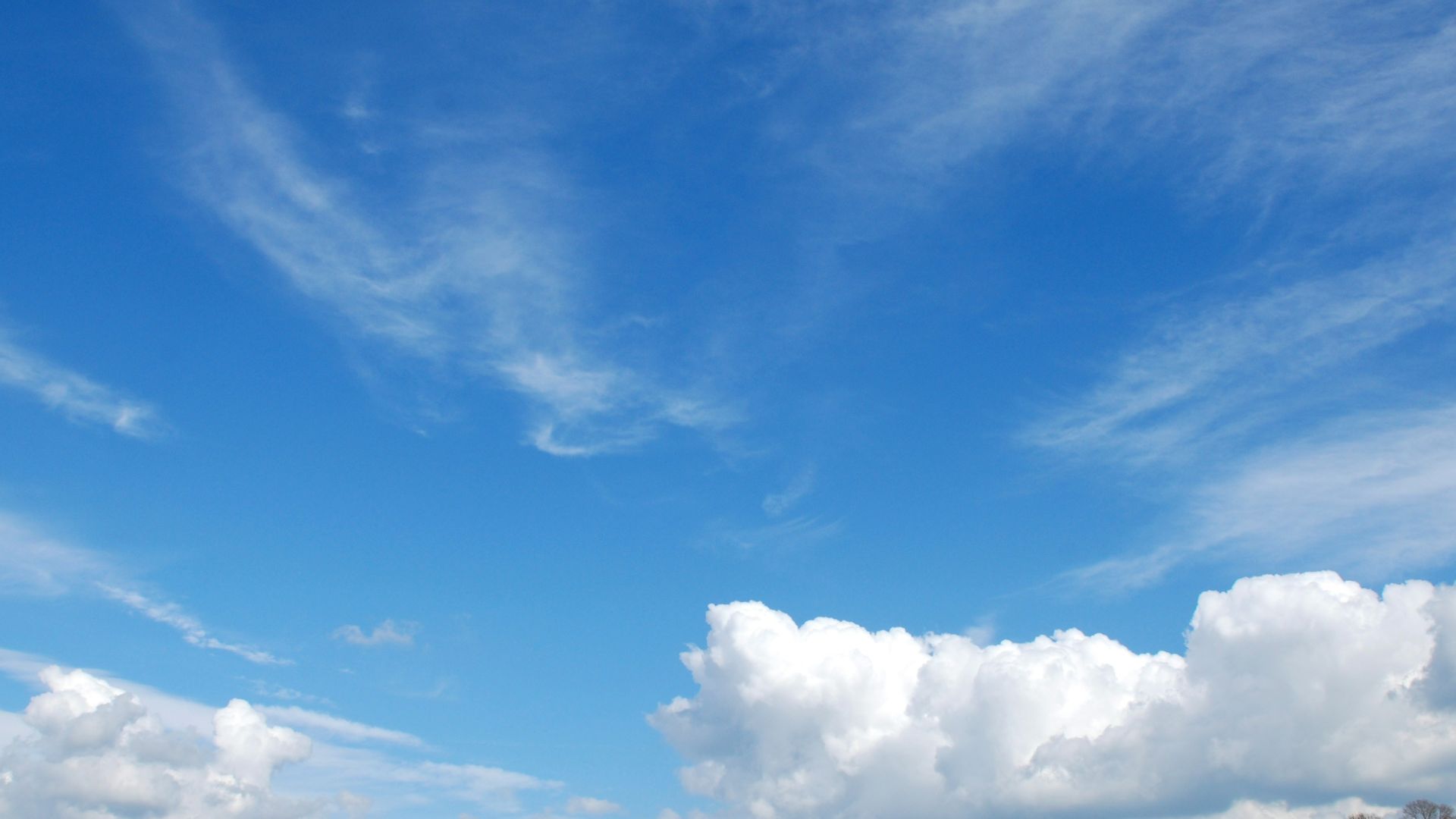 landscape photography of green land under bluesky
