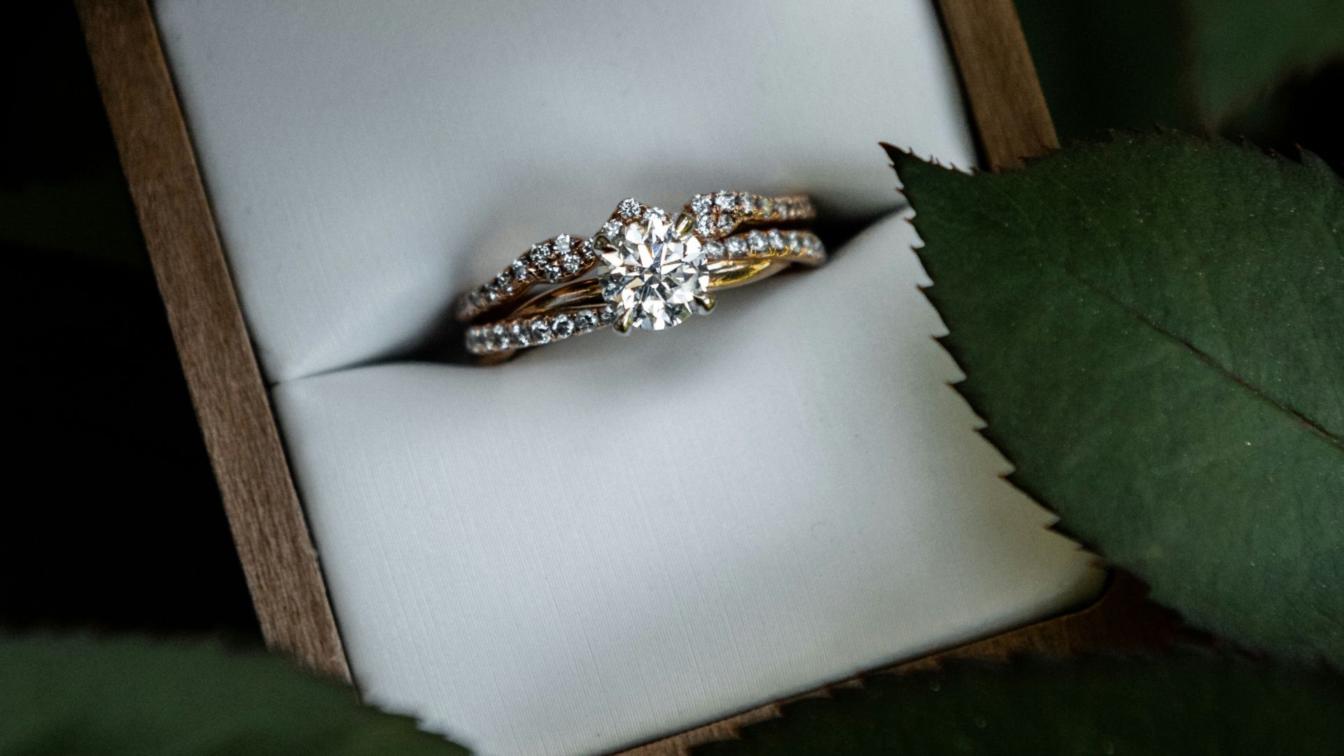 Elegant wedding rings in a box.