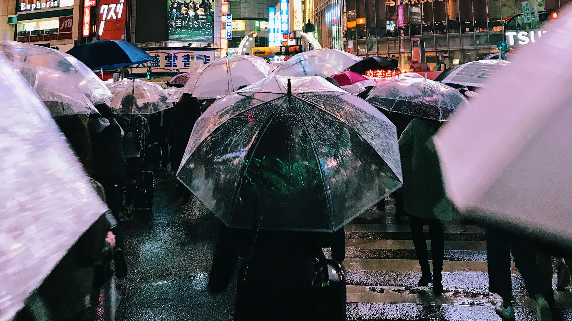 people with umbrellas walking near buildings during night