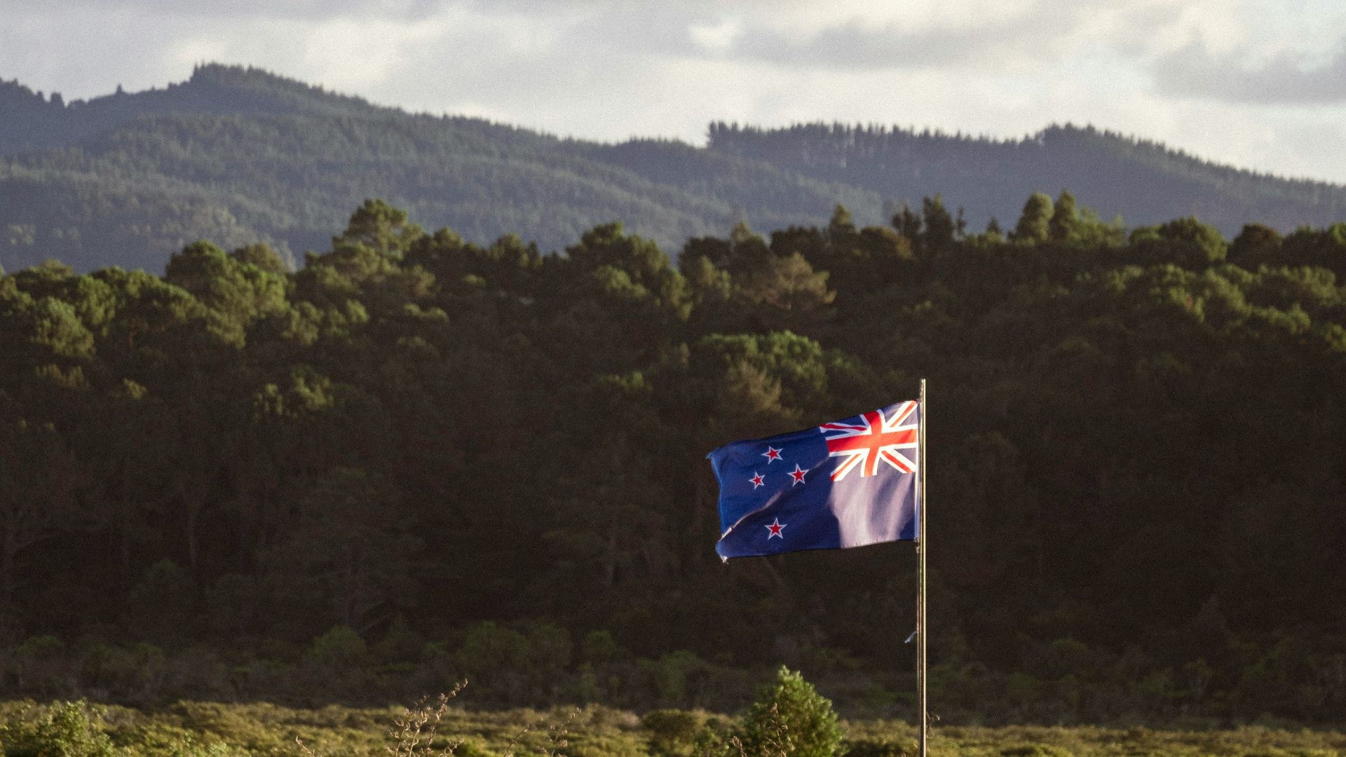 a flag flying in front of a lush green hillside
