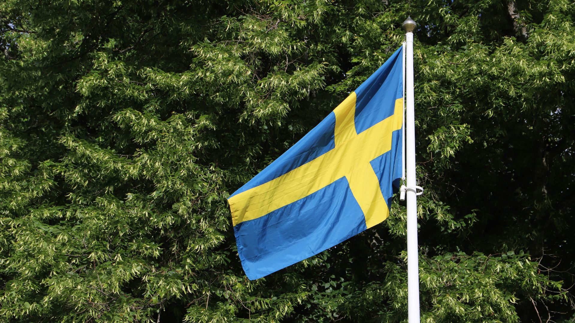 a blue and yellow flag flying next to some trees