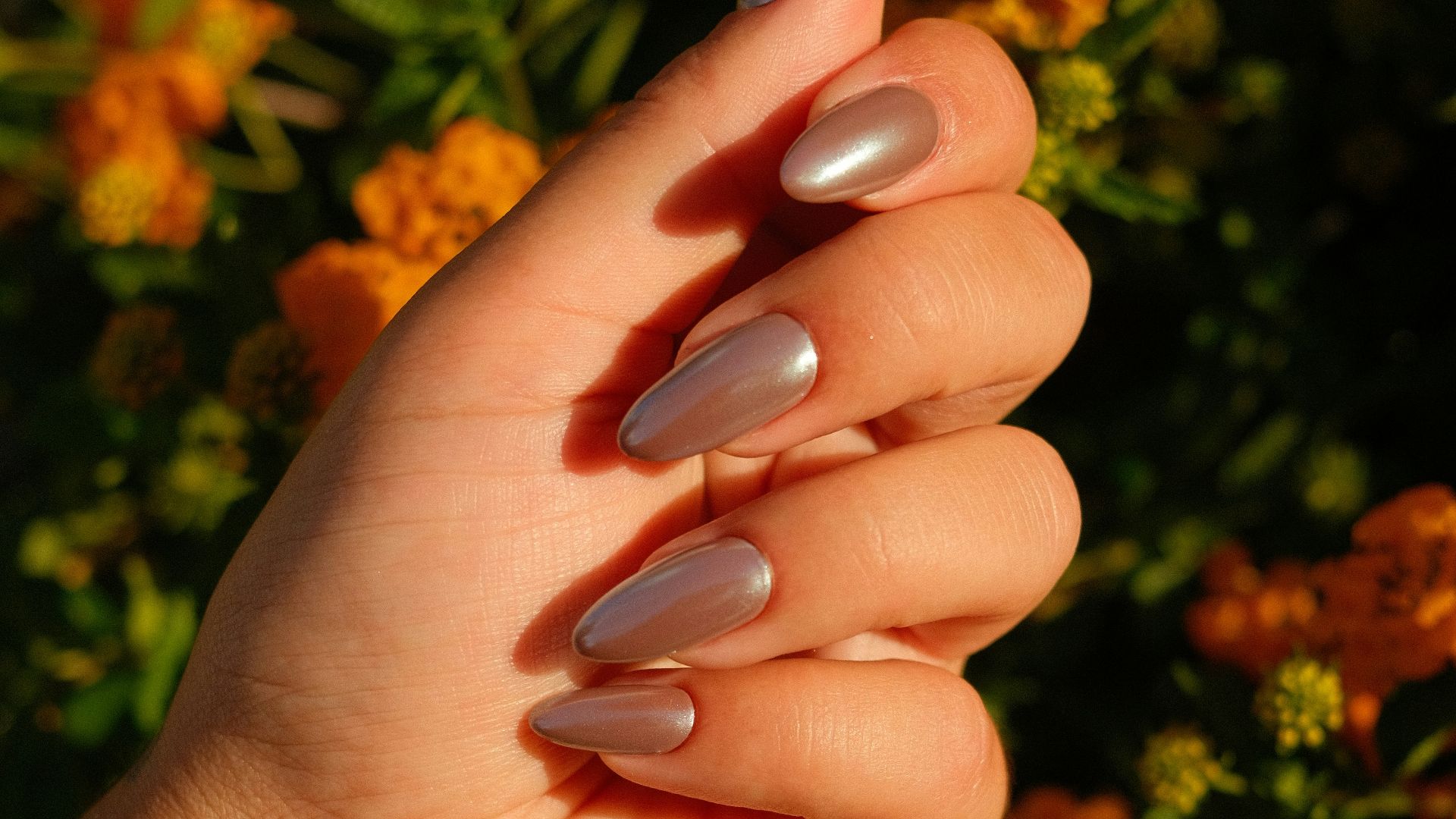 A woman's hand with a manicure holding a flower