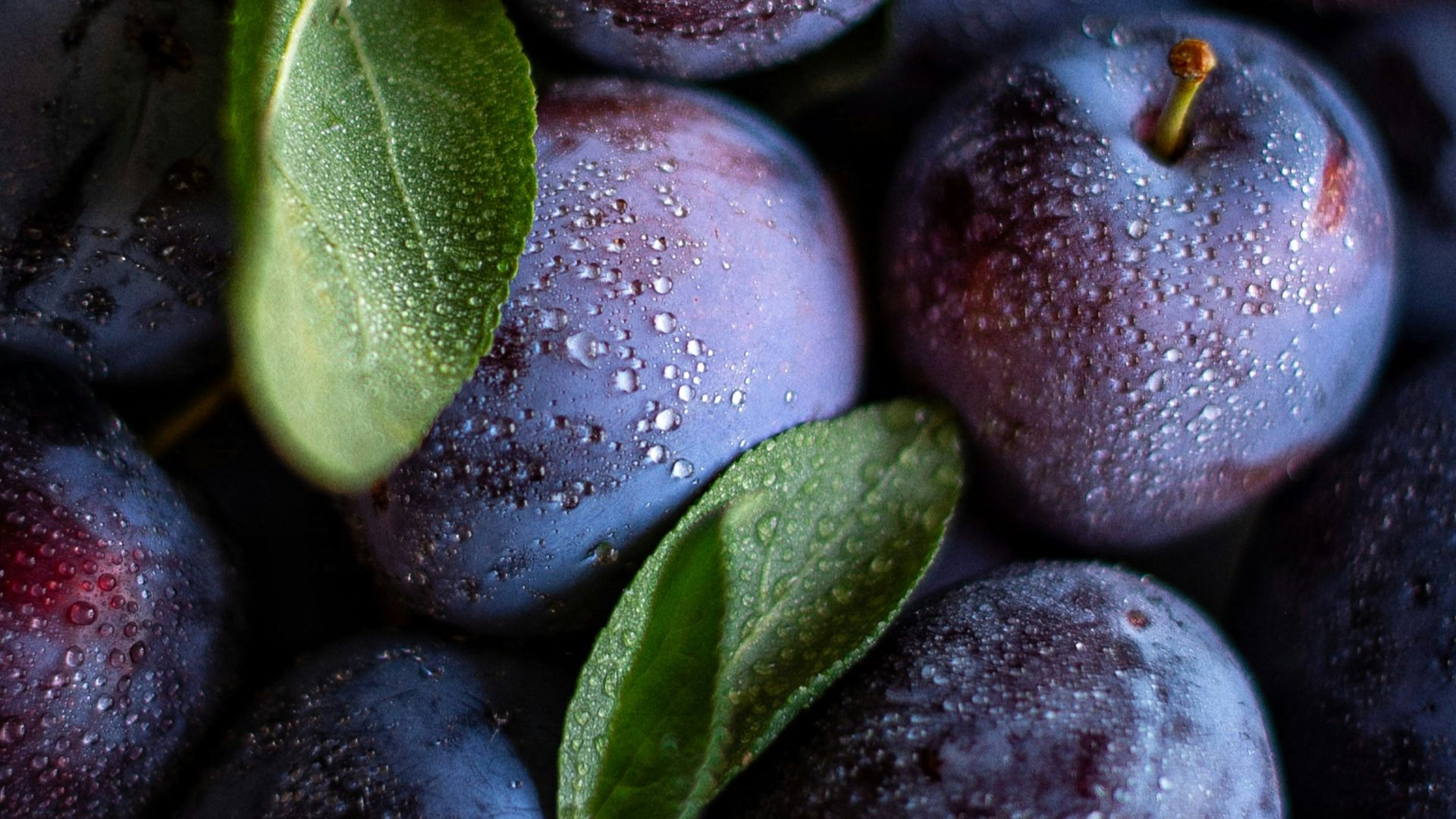 pile of fruits