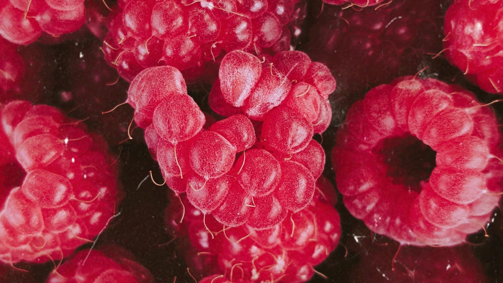 red round fruits in close up photography