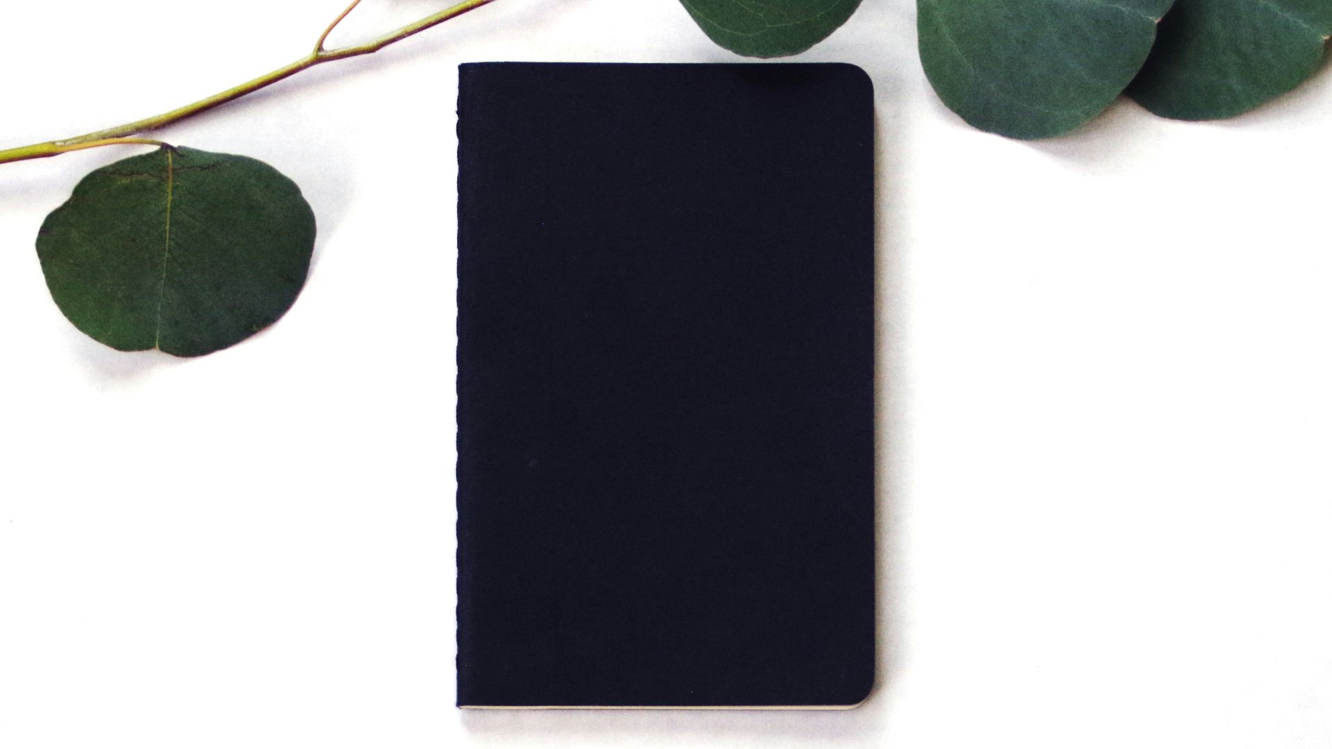 white rectangular board on white surface