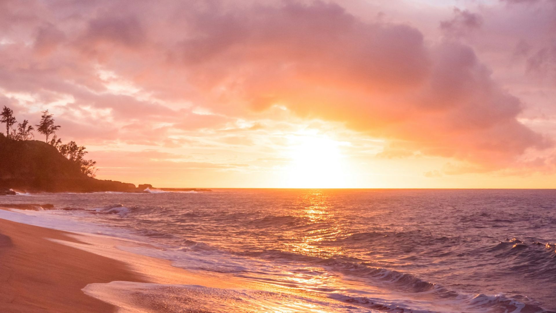 beach seashore during sunset
