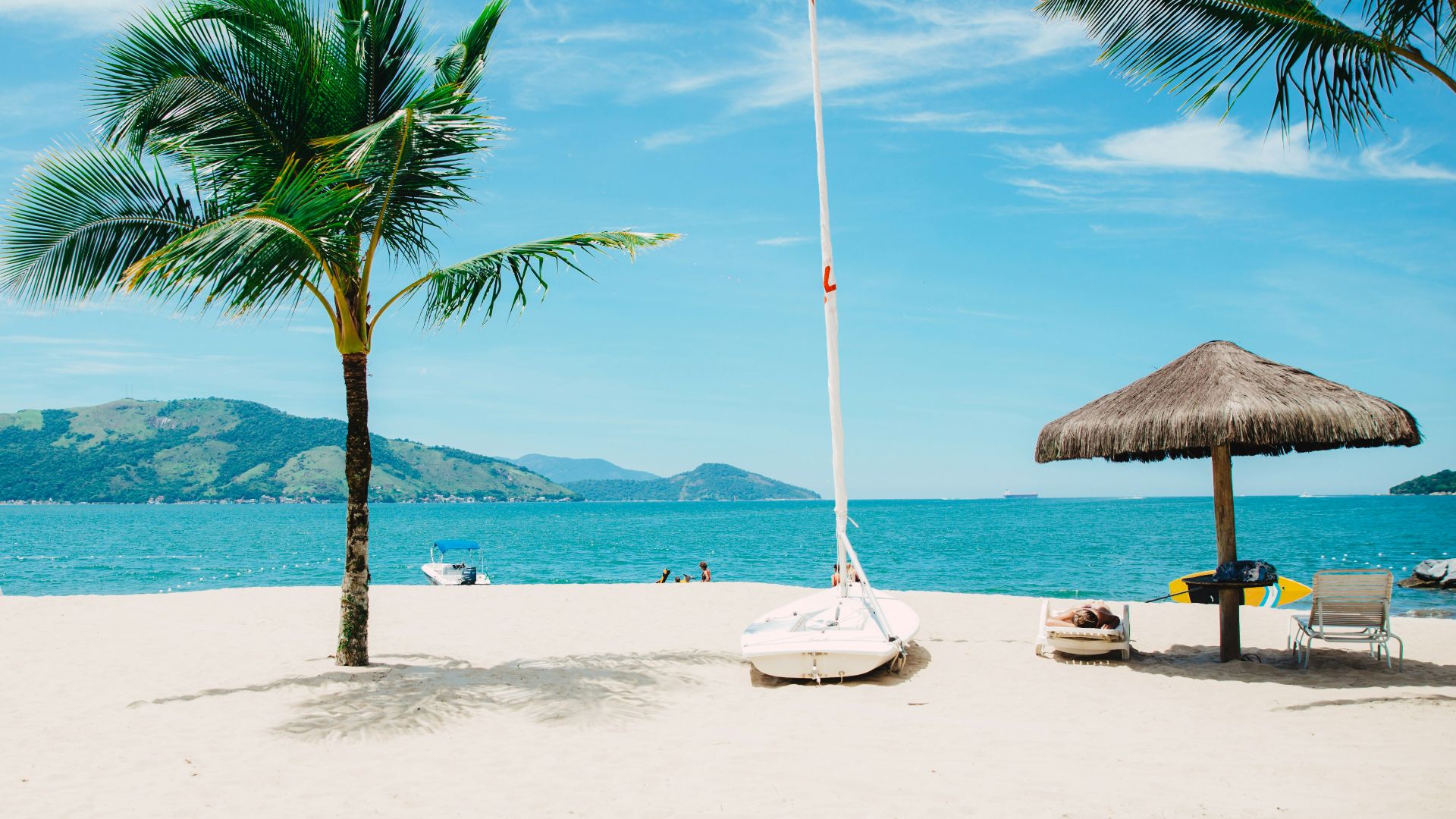 coconut tree near shore within mountain range