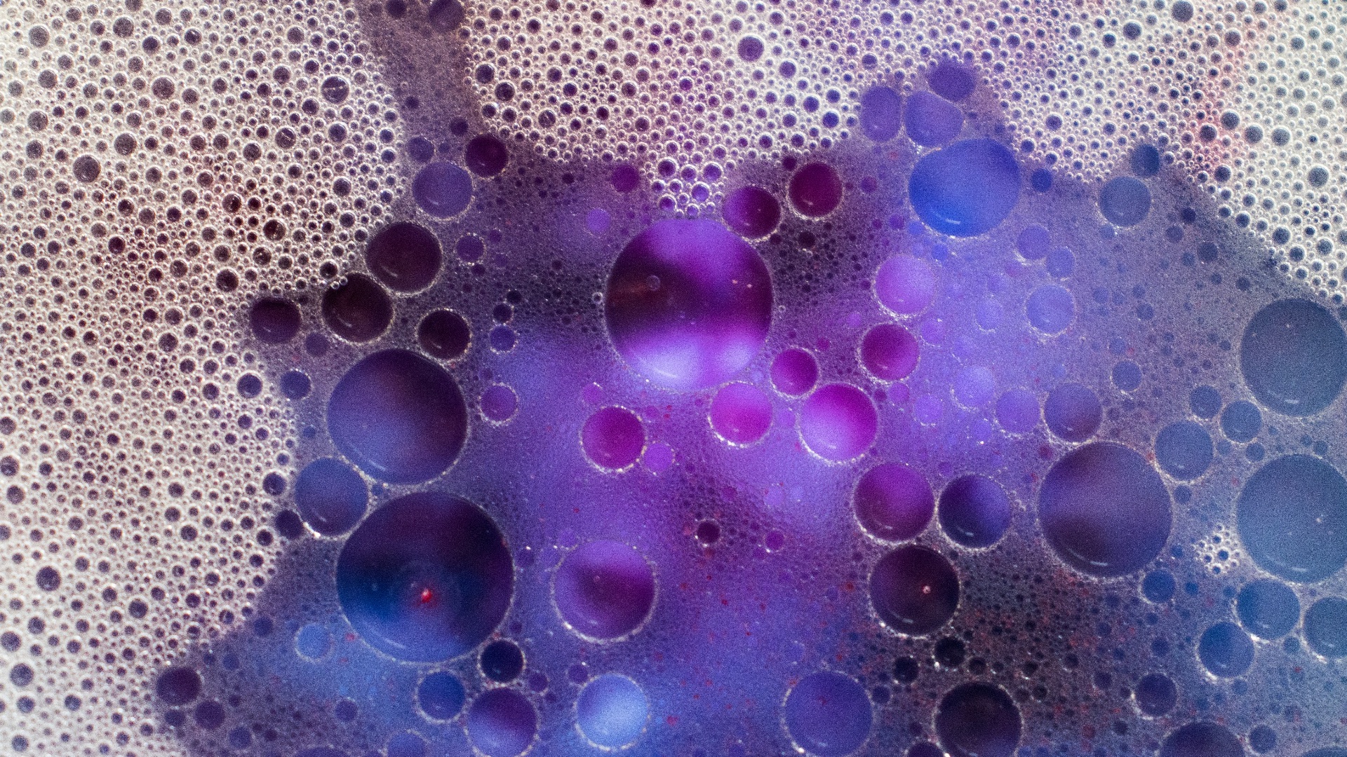 177870251804dff86c3250180bacc57aebbf3f6c4b25575666.jpg