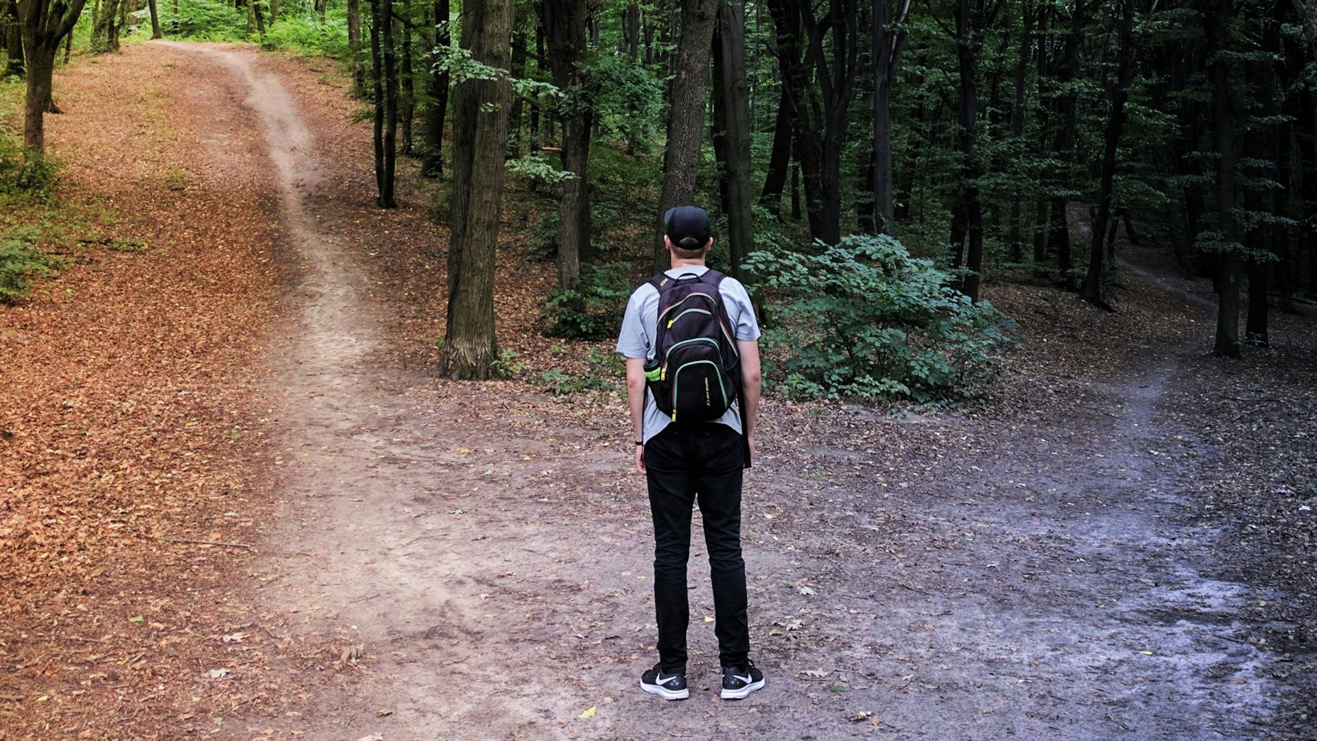 1780956733b25f84922bddf95f758037a83175572e51d1ada6.jpg