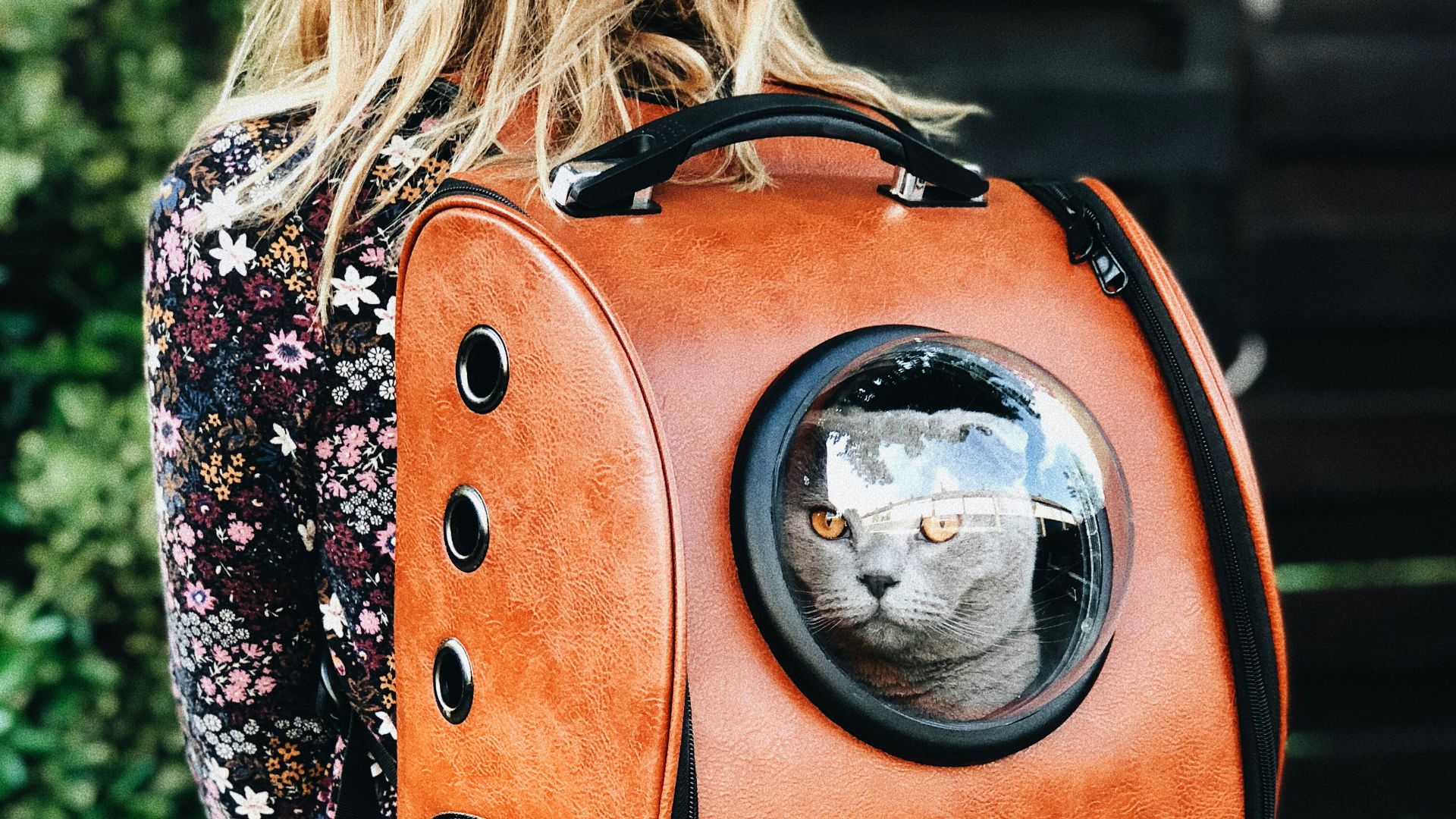 1784149029869a5c5e0fc034fd3df16e6f1db074e91bcb8b57.jpg