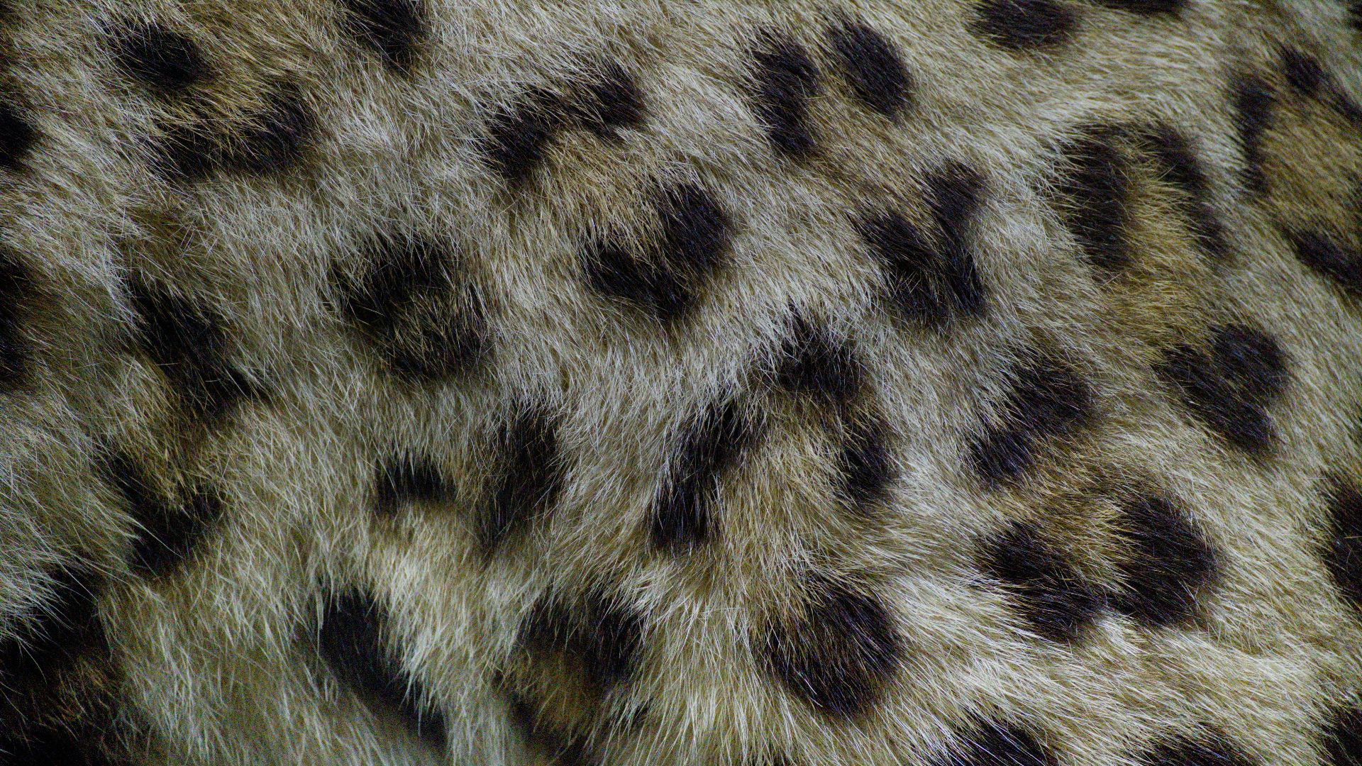 1784570913ccaea96e1837153051ab341607c8c910d499e4d5.jpg