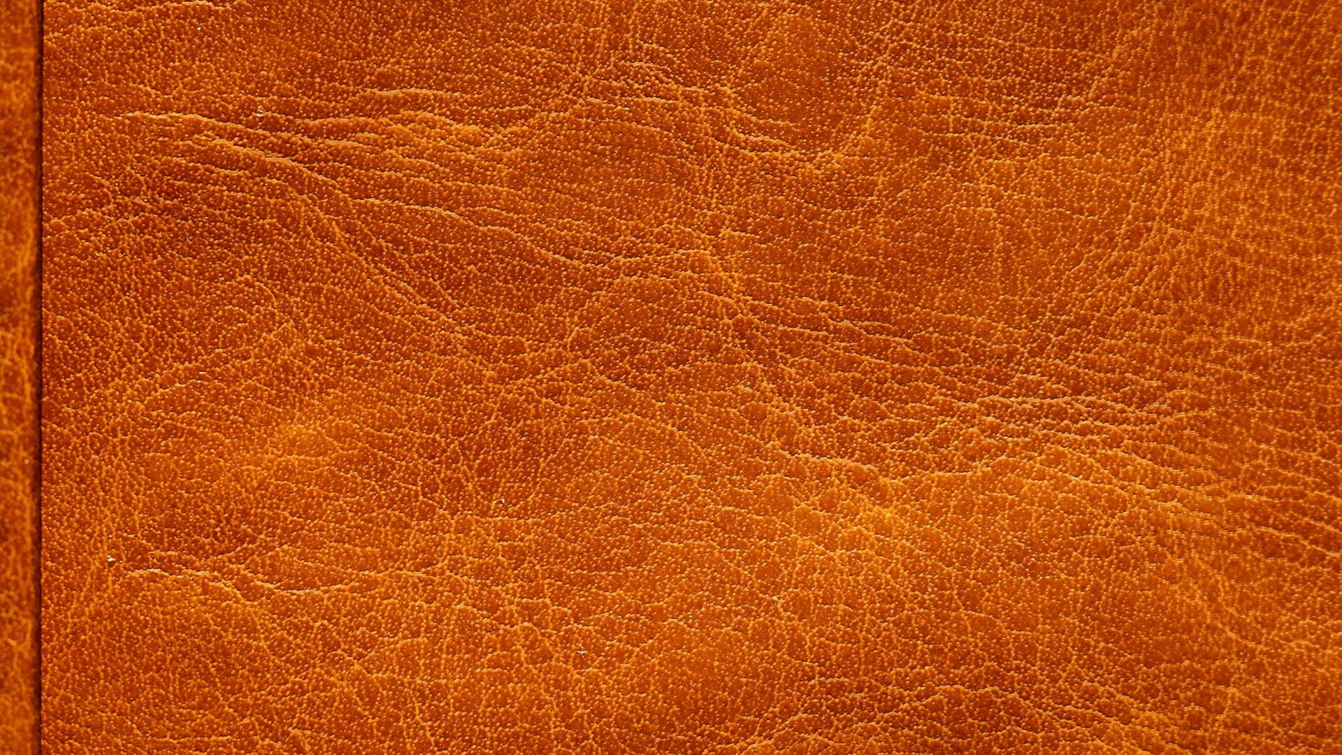1783360890962a5eb811ab38f869482c3eb4145082f9678db2.jpg