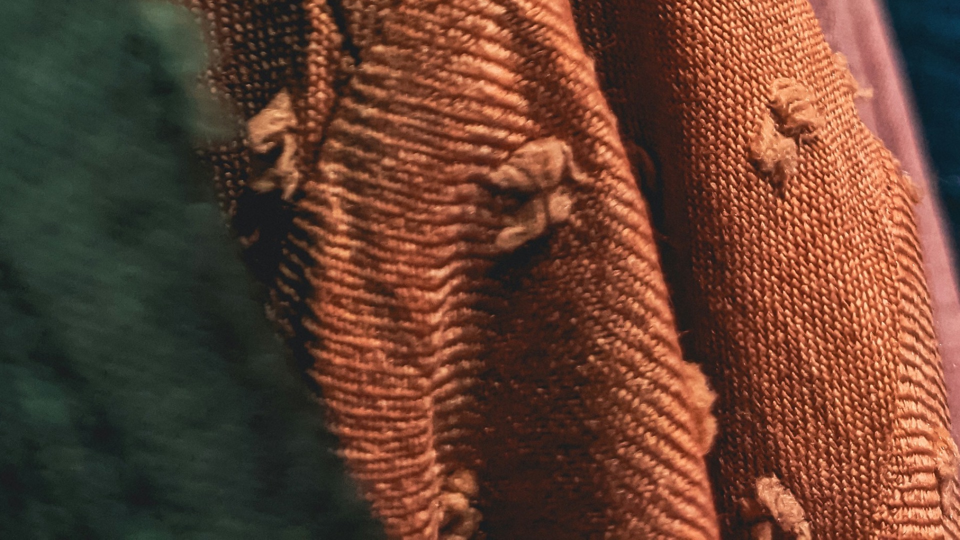 17865568684e526feb4402f214ca422655c93d53de895c6f58.jpg