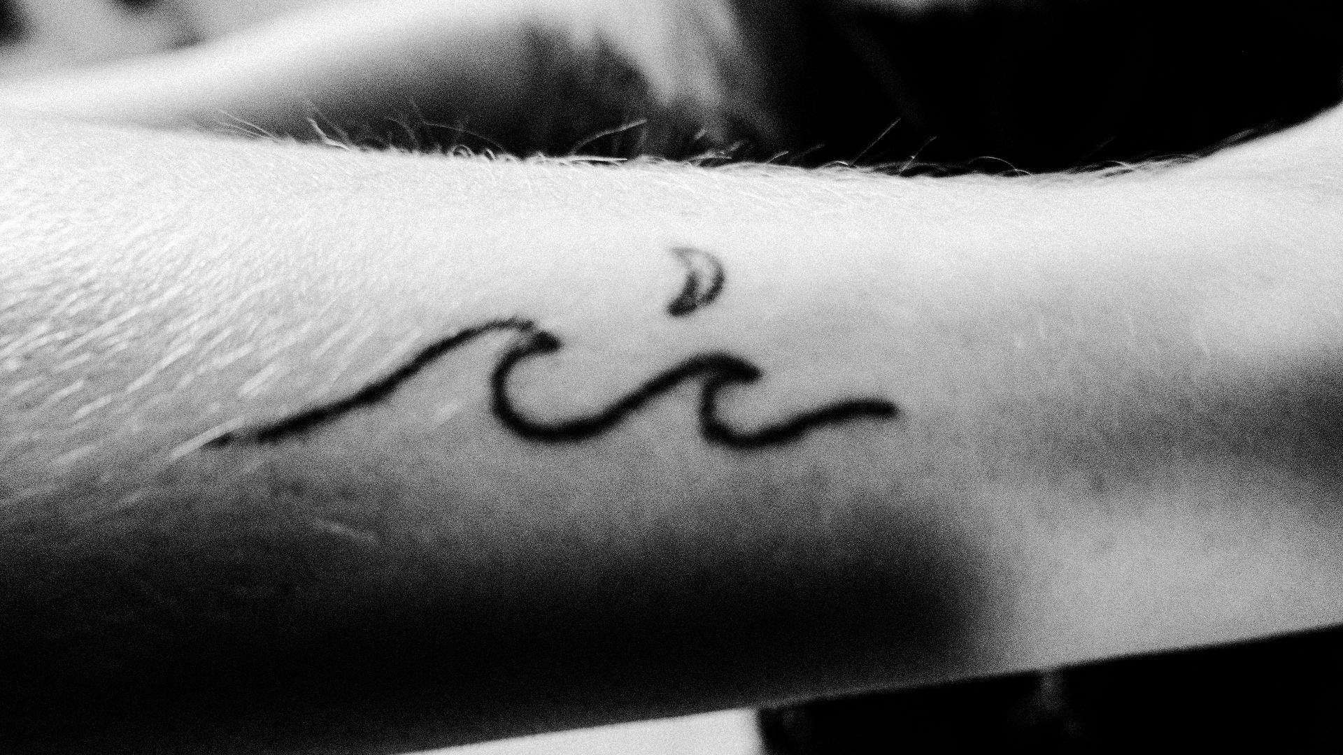 1786987047005984107726e762056dbb36550d206d77881553.jpg