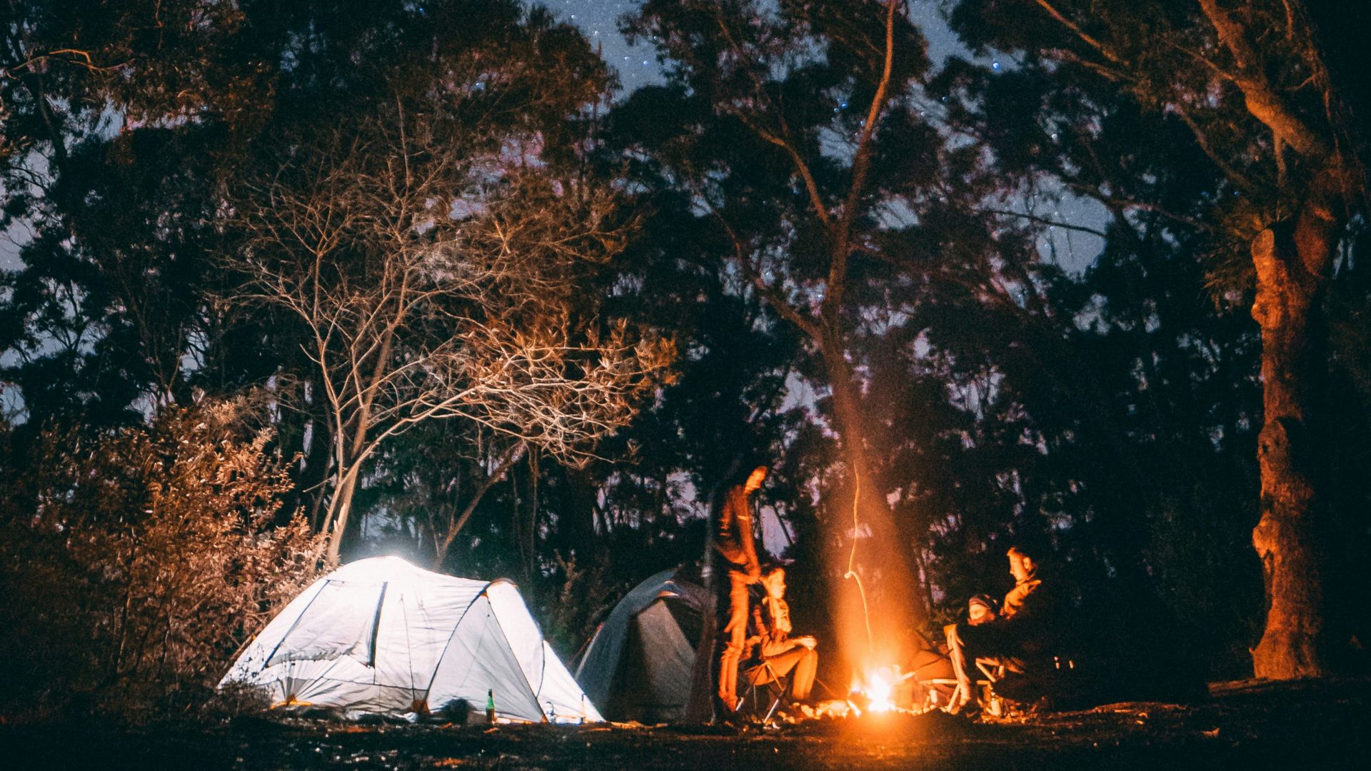 178715684157e5ef7773f9d583d054d6b4c2044bc78b3f1fa1.jpg