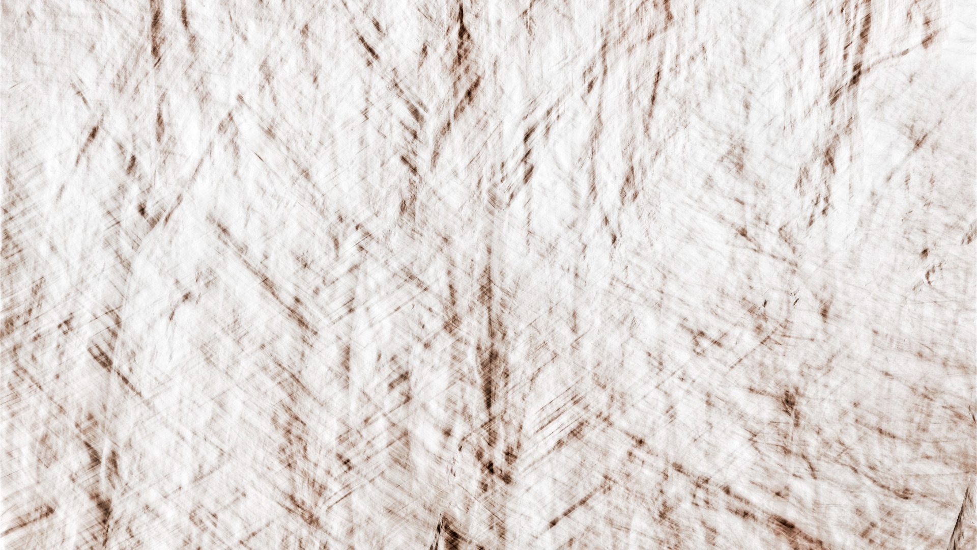 179035249876f185988dd221305392ba36a622bb014b50a5fb.jpeg