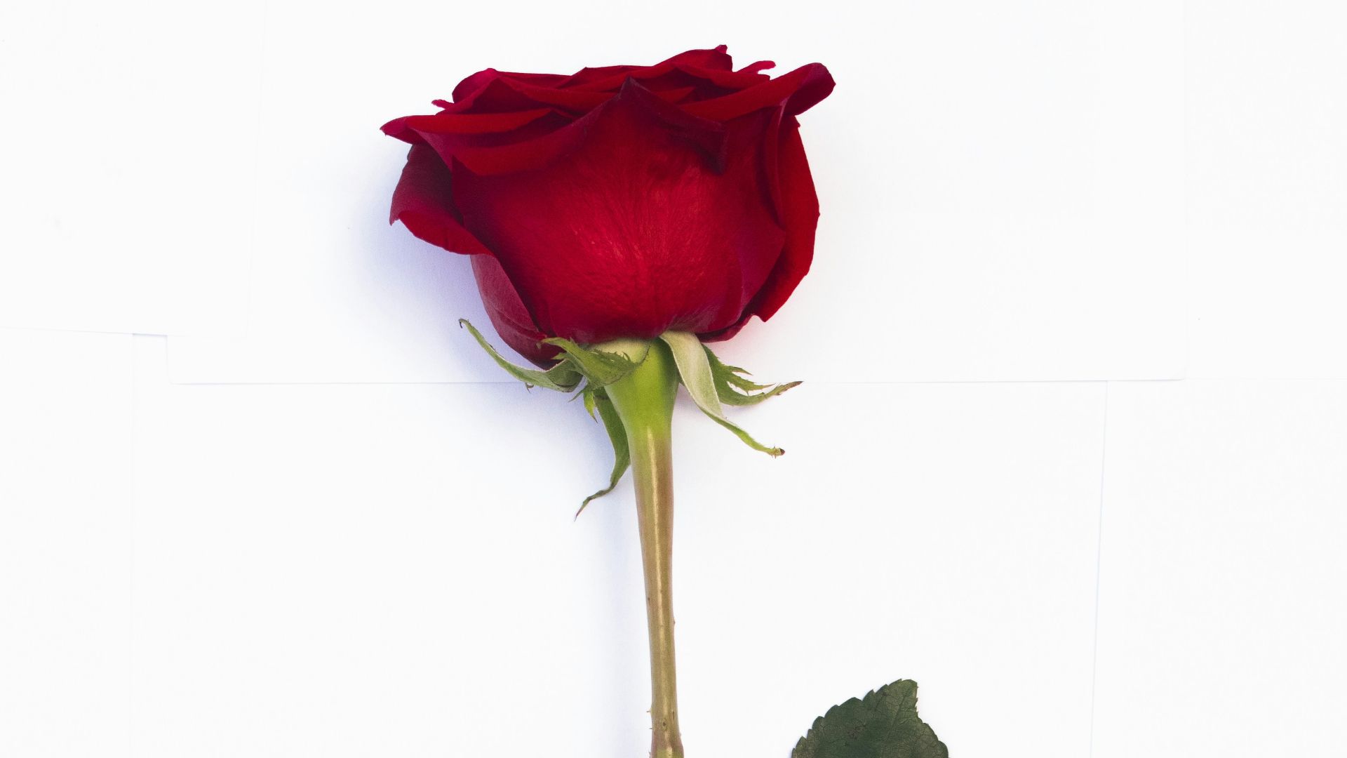 17906255648f2668e31b8efd2ab2d375d54e301dabc895c11c.jpg