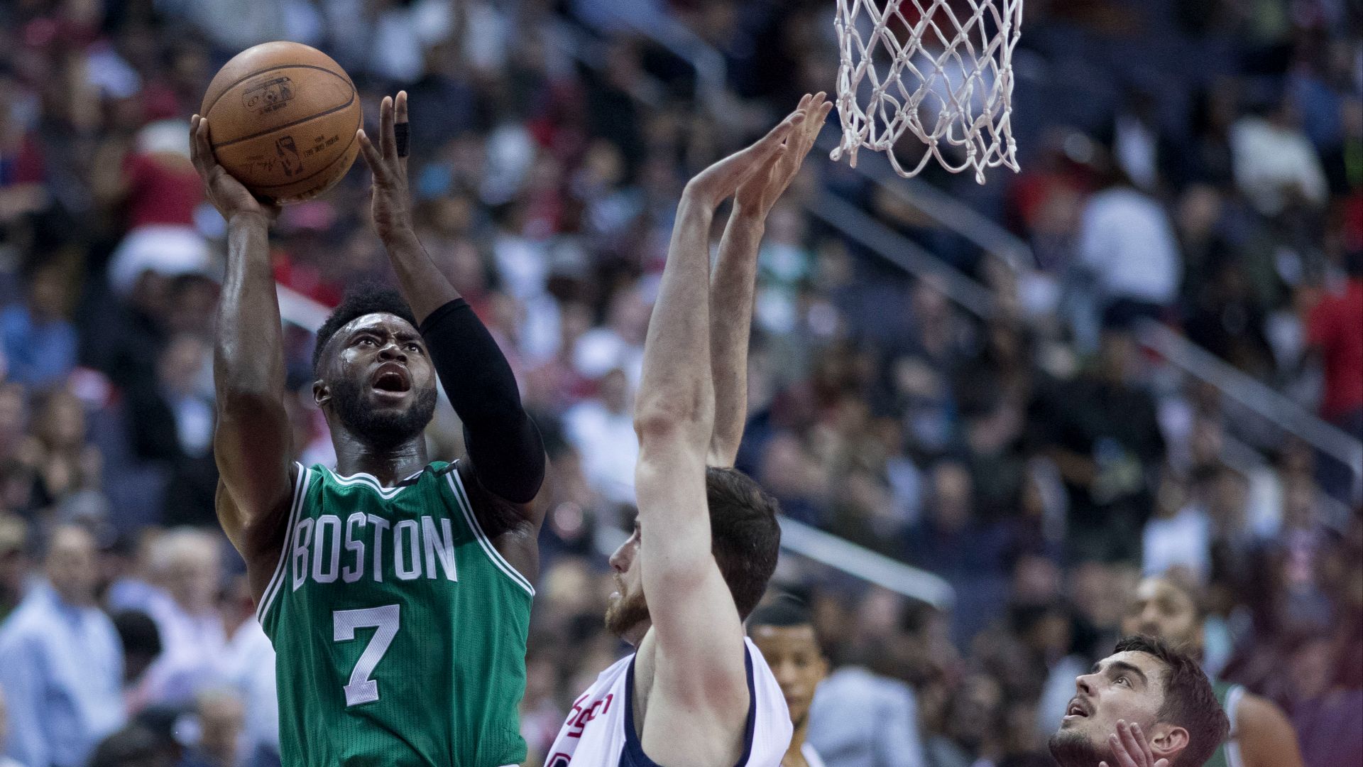 File:Jaylen Brown (33650745703).jpg