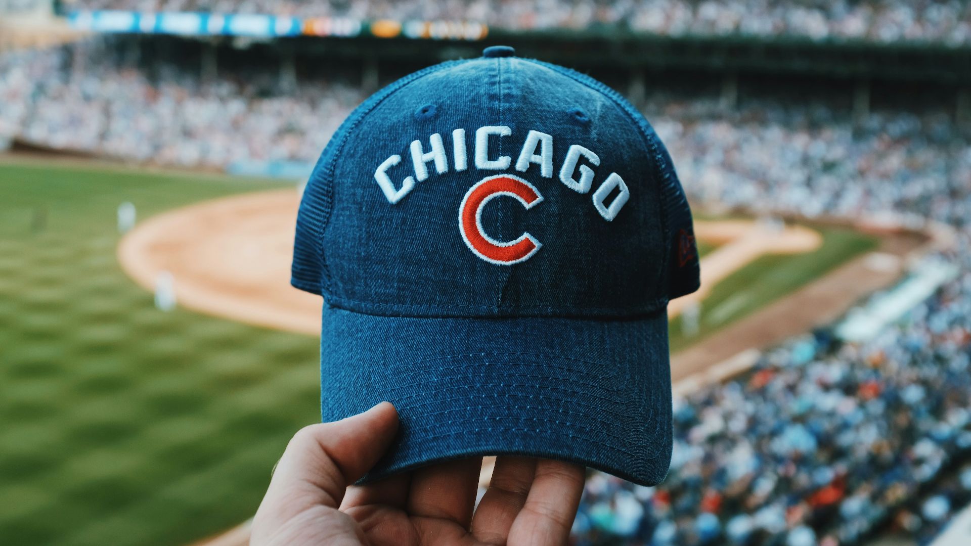 person holding blue Chicago Cubs cap