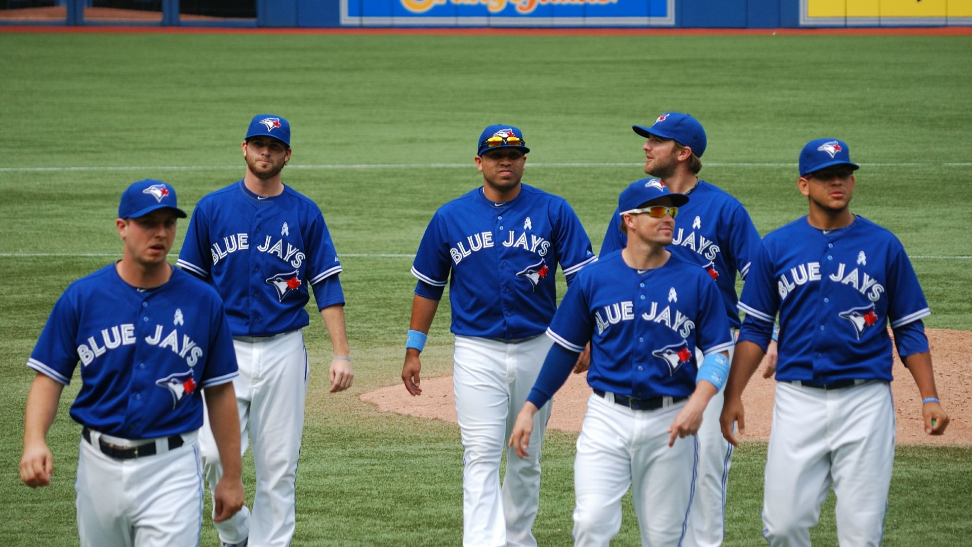 File:Blue Jays (7968660926).jpg