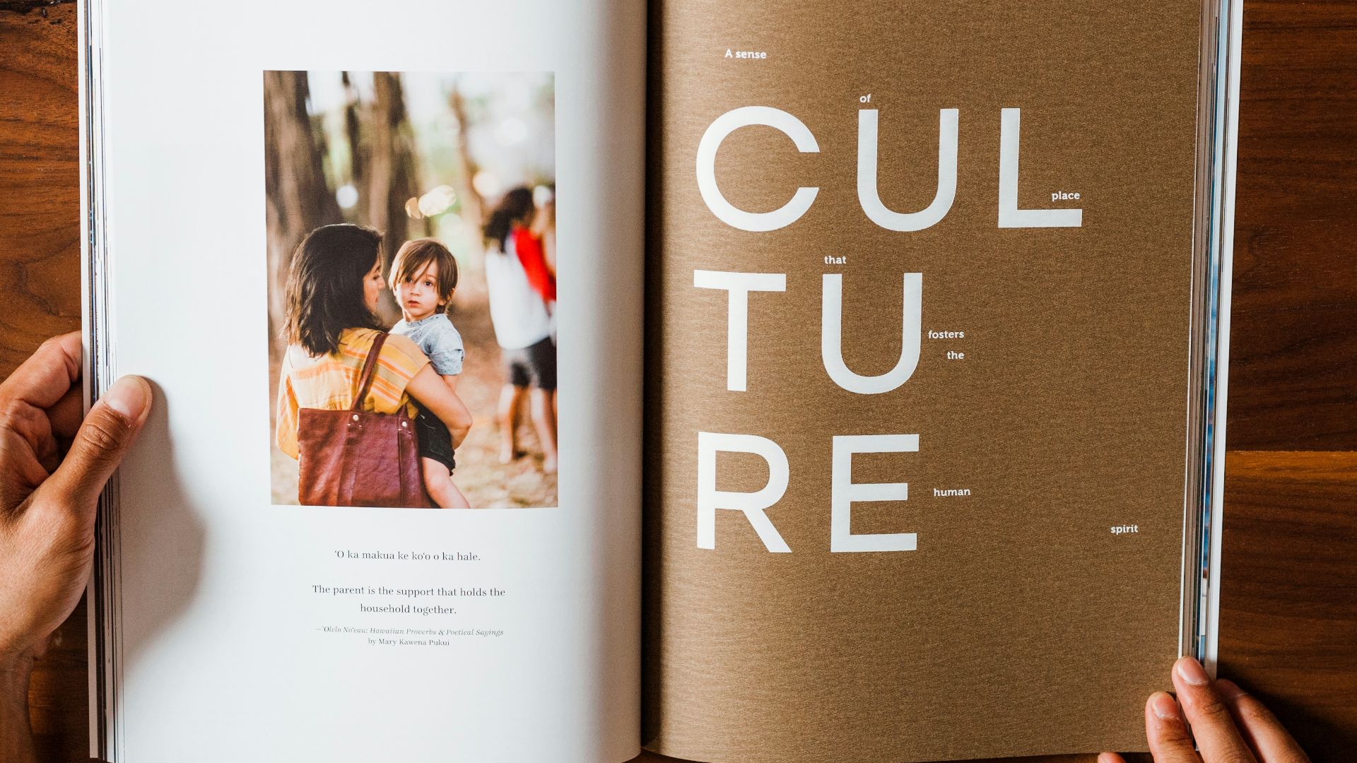 the golden girls book on brown wooden table