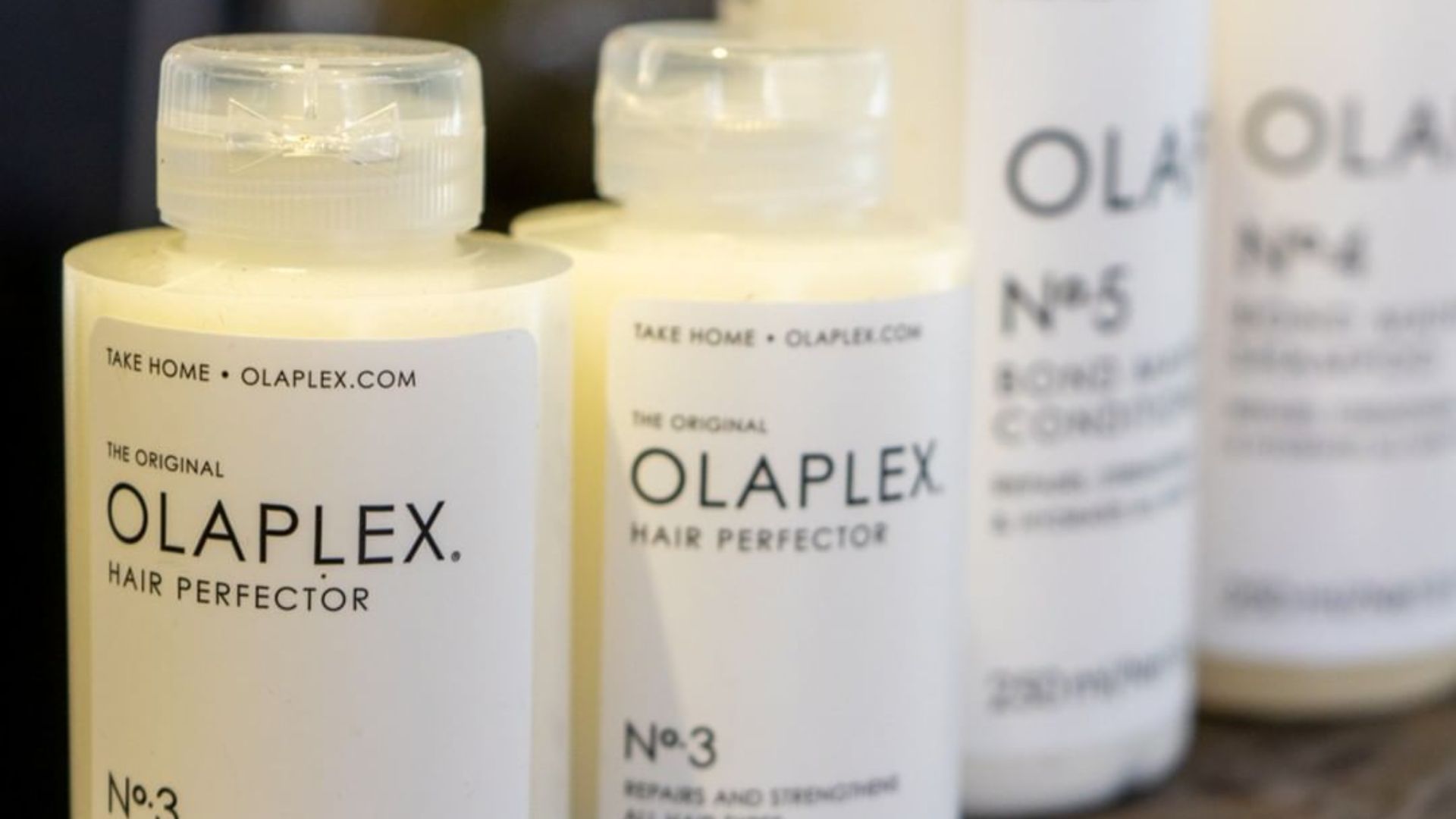 File:Olaplex (51211203815).jpg
