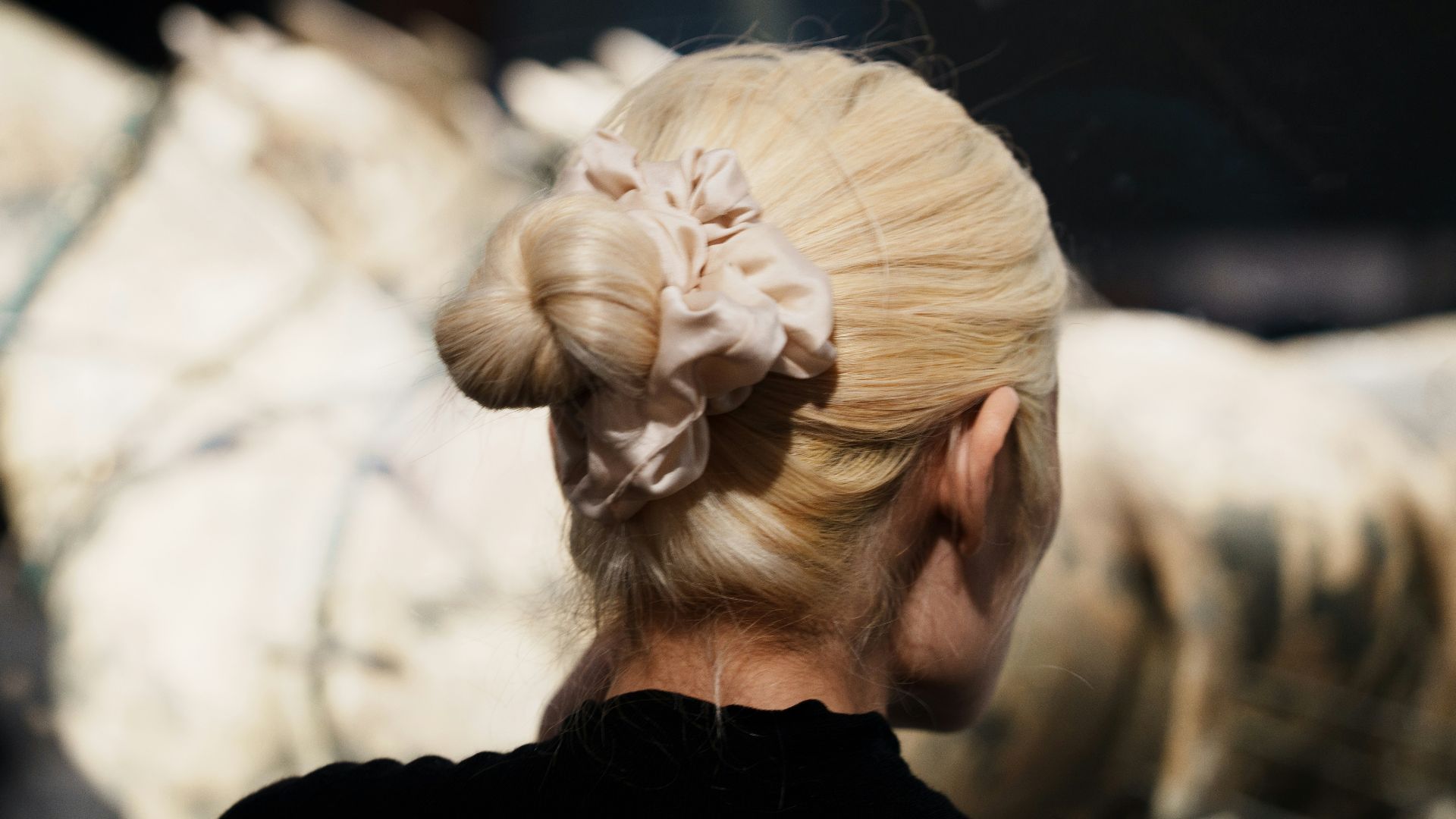 Woman with elegant hairstyle looking at a white horse