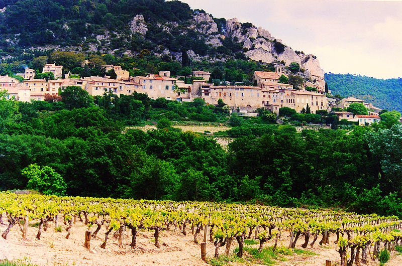 800px-Cotes_du_Rhone_Village_Seguret_vineyards