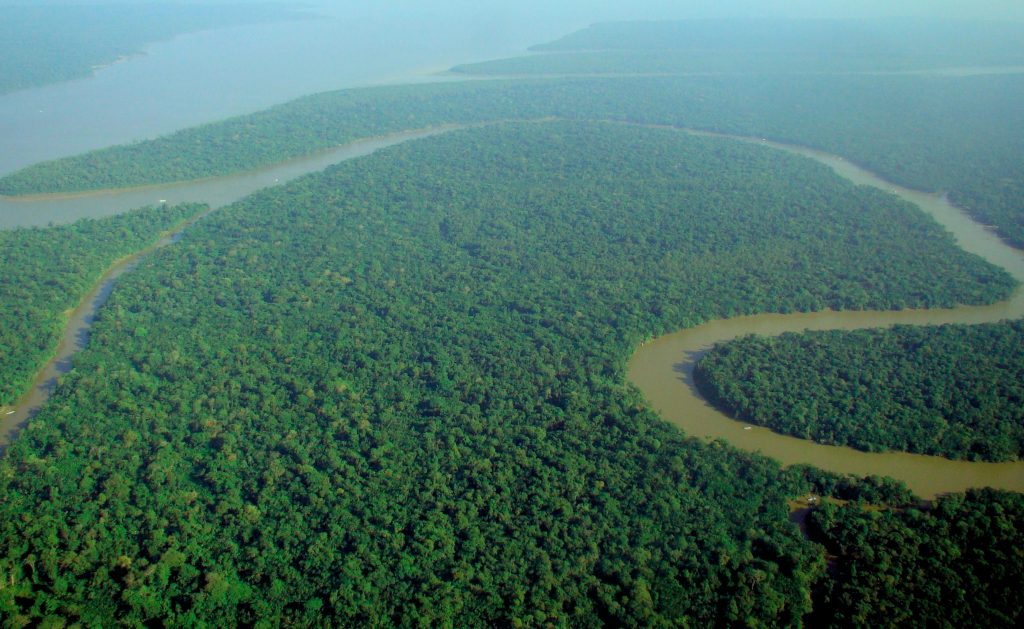 Aerial_view_of_the_Amazon_Rainforest-1024x629.jpg