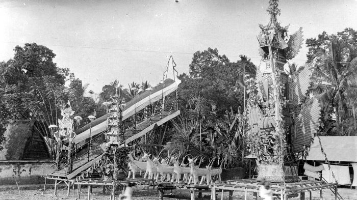 COLLECTIE_TROPENMUSEUM_Een_verbrandingstoren_(wadah)_en_lijkkisten_in_de_vorm_van_beesten_zijn_klaar_voor_de_lijkverbranding_Singaraja_Bali_TMnr_10003291