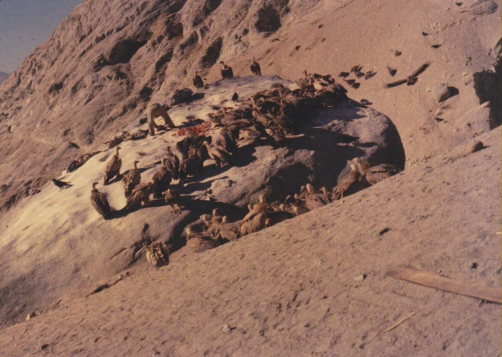 Vultures_on_Lhasa_sky_burial_rock_1-1024x729.jpg