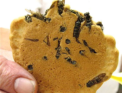 japanese-wasp-rice-crackers