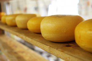 cheese-2785-300x200.jpg