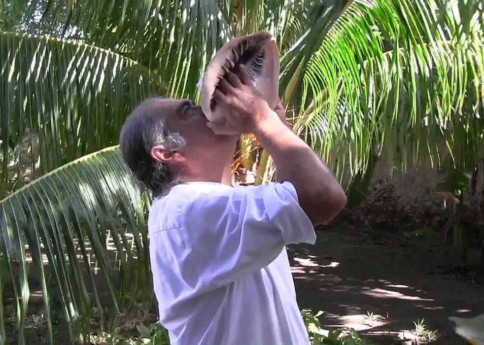 conch-1529681815337.jpg