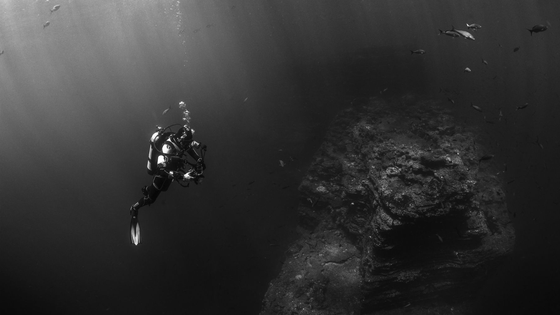 diving_alone-1527709141828.jpg