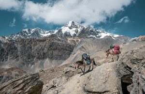 mountain-3185047-300x194.jpg
